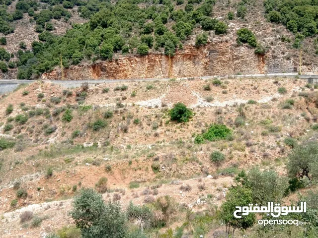 land for sale in Ha'el jbeil