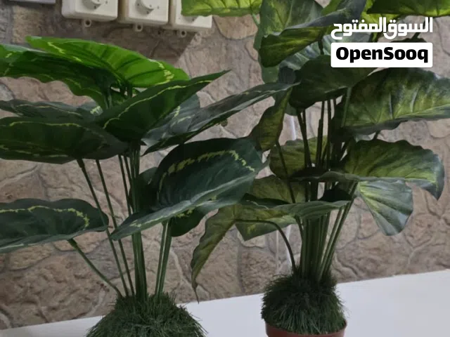 شتلات صناعيه داخليه و خارجيه عدد 9 بسعر رخيص