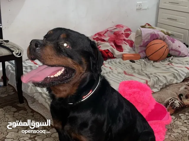 روت ولر العمر 9 شهور