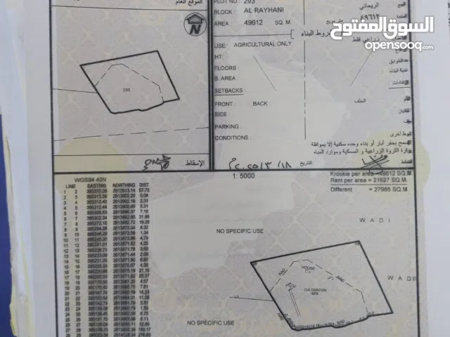 أرض زراعية للبيع في السنينه