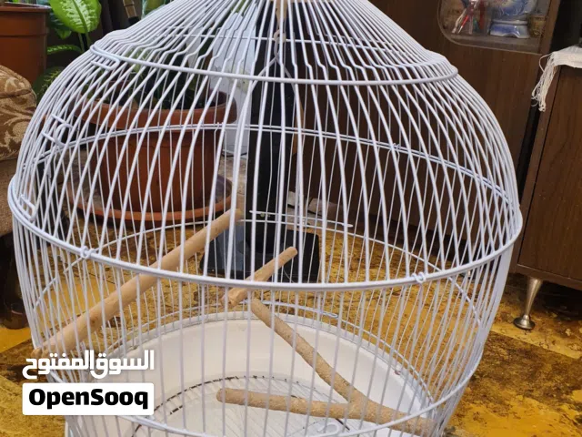قفص عصافير birdcage