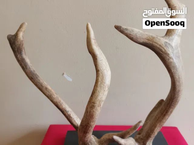 تحف لتزيين المنازل والمجالس و المتاحف