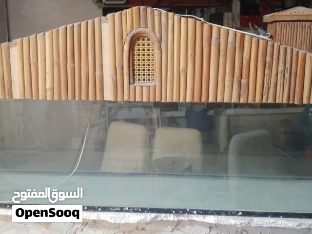 حوض سمك بلدي للبيع المستعجل