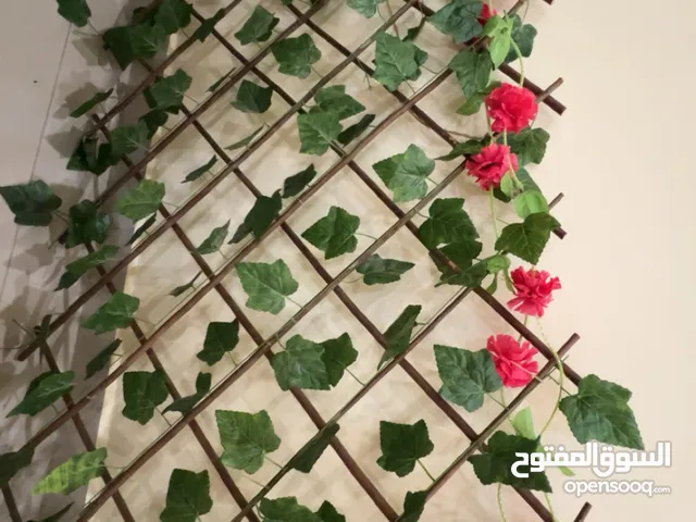 سور نبات صناعي للزينة