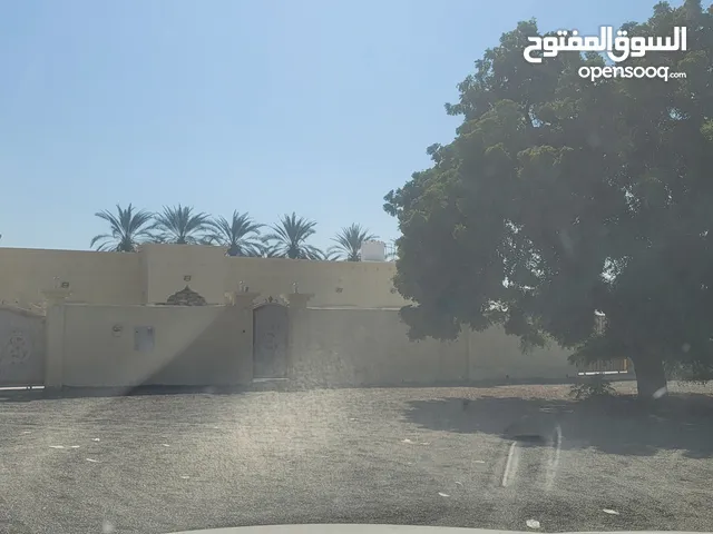 بيت شعبي (قصيية الزعاب)