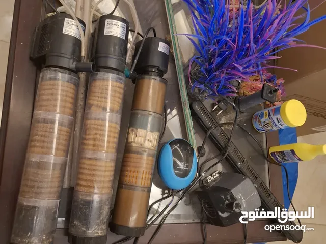 أغراض حوض سمك كامله