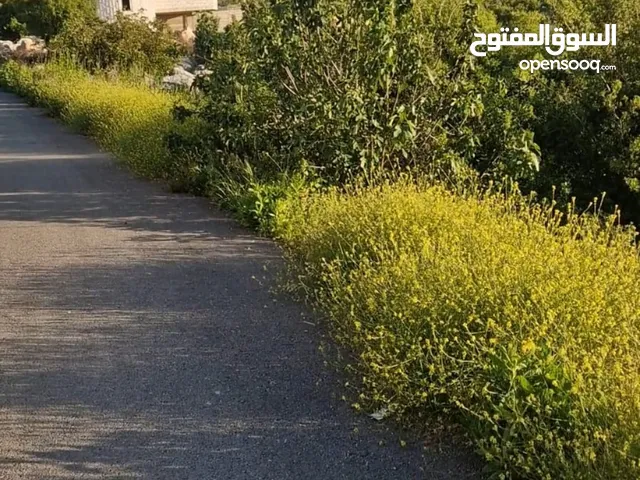 ارض للبيع في برهام قرب بيرزيت مساحه 750متر
