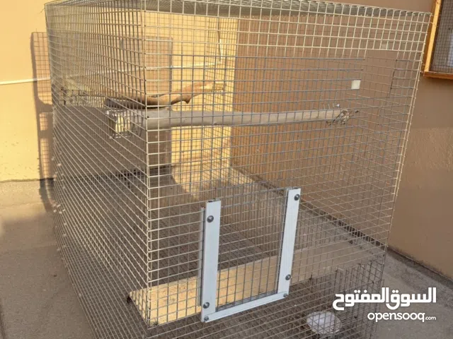 للبيع قفص لمحترفي انتاج كاسكو. امازون. مكاو