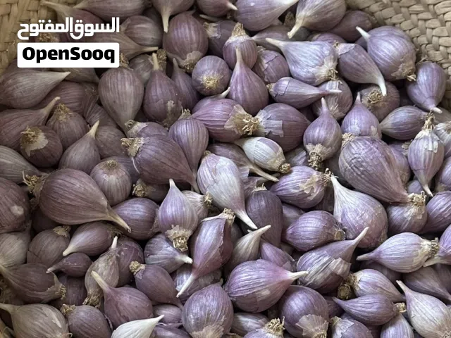 ثوم عماني ذكر