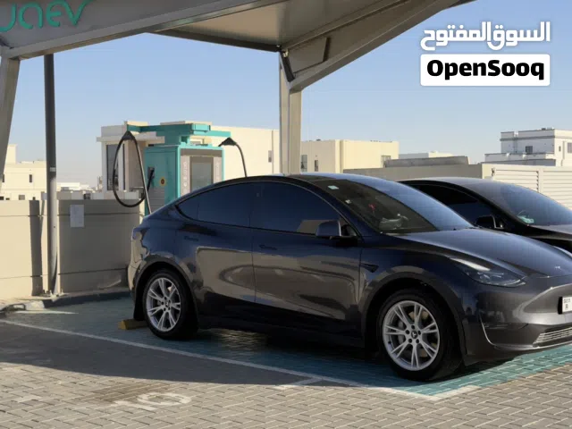 2024 تيسلا موديل Y Standard Range