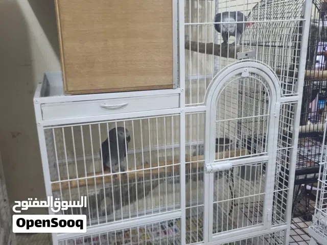 house design big size bird cage