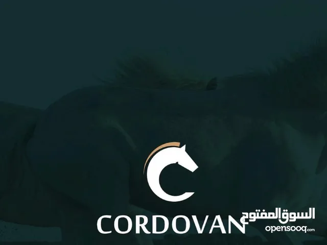 براند عماني لبيع الاحذية الرجالية (cordovan) متجر الكتروني