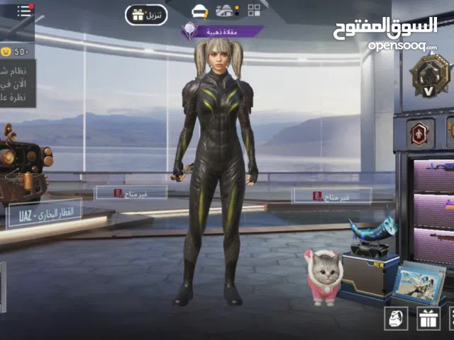 Pubg Accounts and Characters for Sale in Southern Governorate