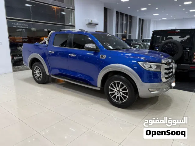 2022 Great Wall Poer Platinum