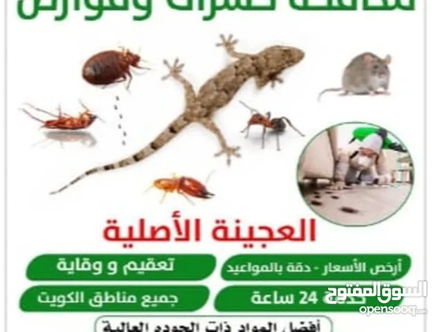 مكافحة جميع الحشرات والقوارض جميع مناطق الكويت كفاله سنه علي جميع اعمالنا
