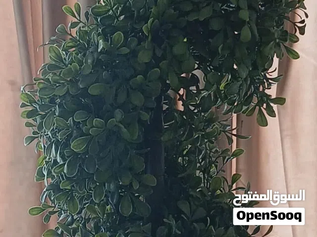 ورد مطلوب فيه 15