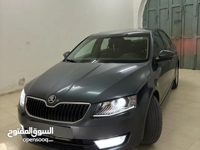 محمد ربيع .ابو ضياء.