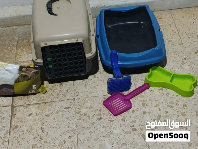 عدت بس للبيع