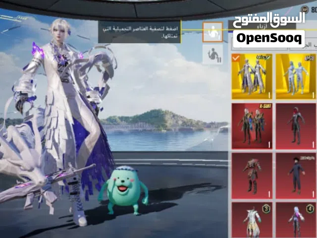 Pubg Accounts and Characters for Sale in Ibb