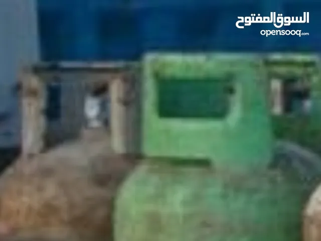 جرة غاز البيع