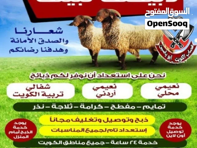 قصاب تحت الطلب