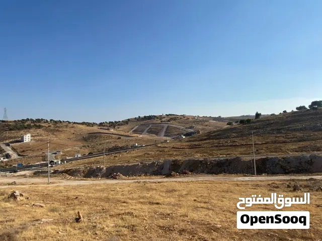 Residential Land for Sale in Zarqa Birayn