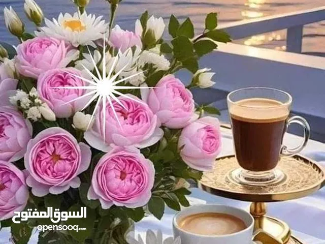 باص هونداي بنزين ركاب 9مقاعد