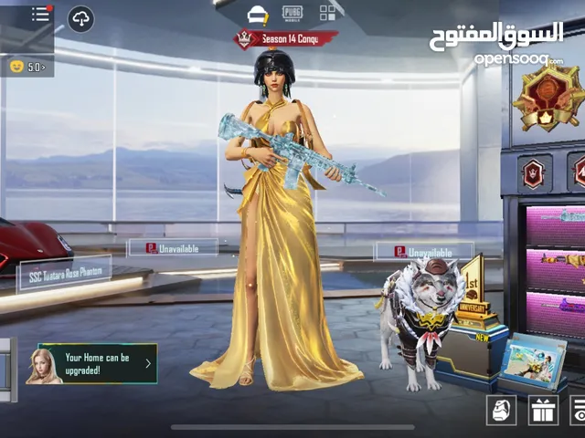 حساب ببجي للبيع