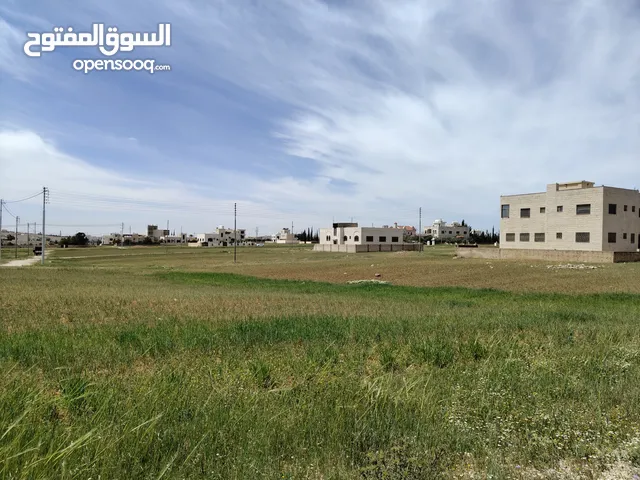 Residential Land for Sale in Amman Al Tuneib