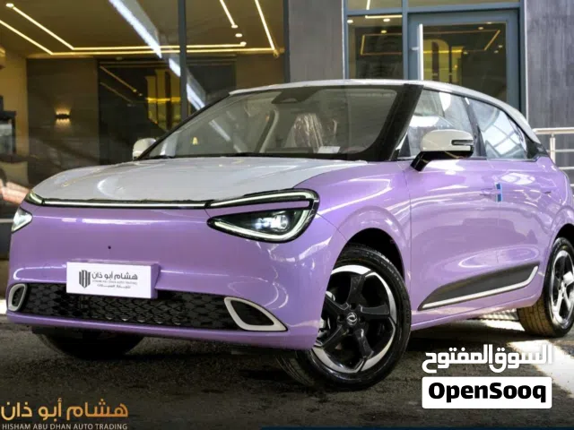 2025 دونج فينج نامي بوكس