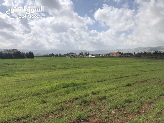 Farm Land for Sale in Amman Mobes