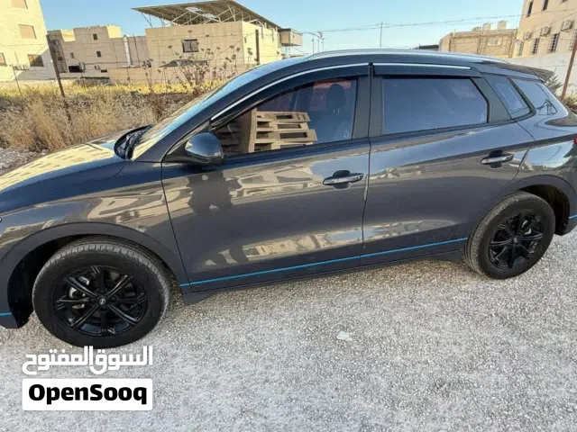 2020 BYD E2