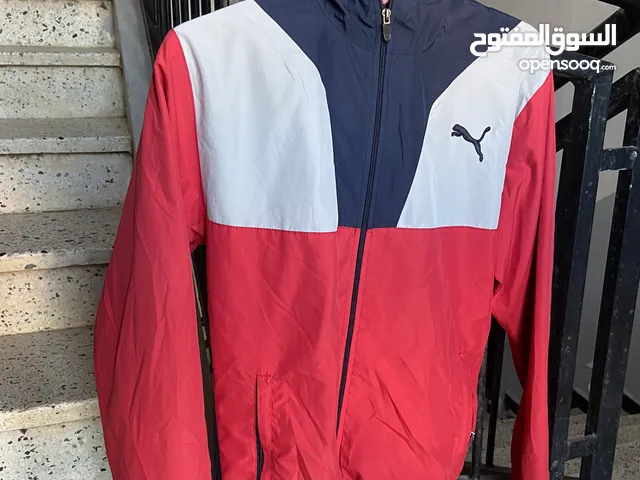 Vista puma original disponible