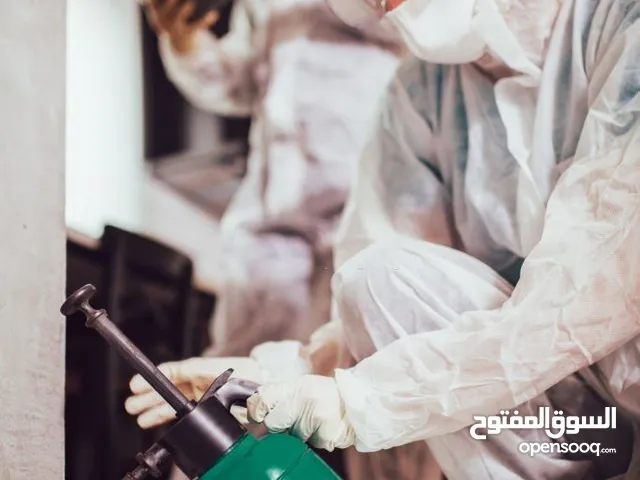 البيت الآمن لمكافحة الحشرات