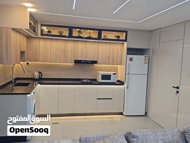 55 m2 Studio Apartments for Rent in Amman University Street