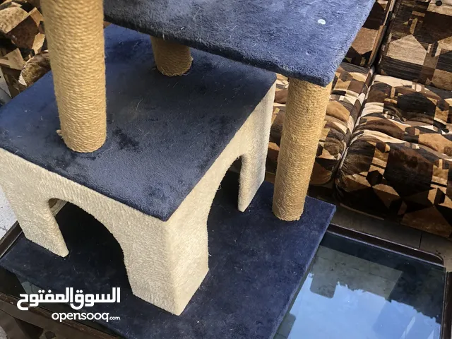 بيت قطاط للبيع