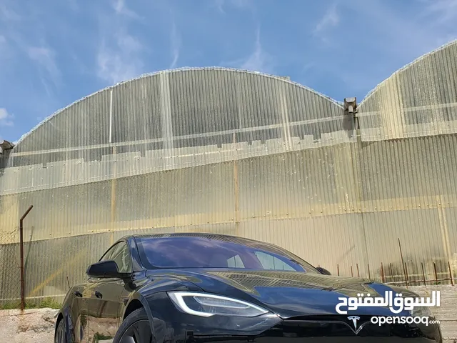 Tesla model s 2021