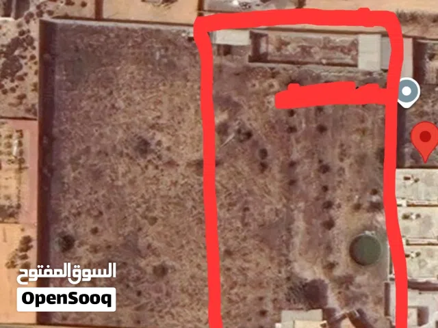 نصف هكتار 5000 م2 في الباعيش