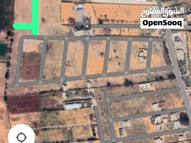 Farm Land for Sale in Tripoli Wadi Al-Rabi