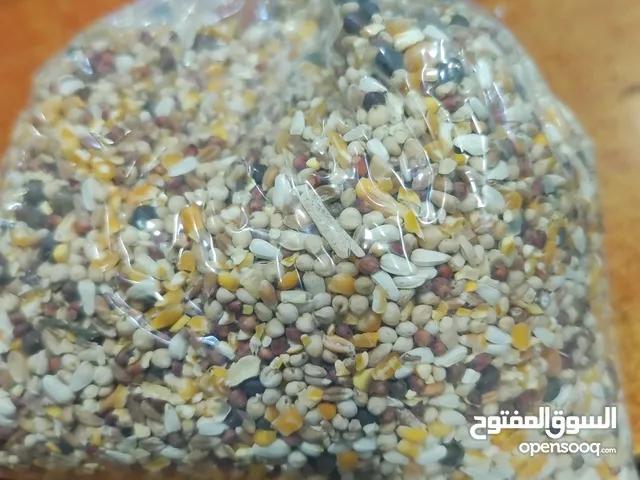 خلطة حمام اكسترا مميزة