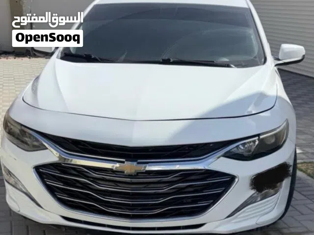 شيفروليه ماليبو 2019 – أبيض صالون
