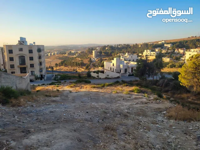 Residential Land for Sale in Amman Marj El Hamam