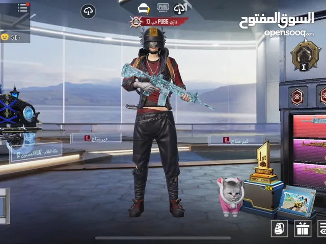 Pubg Accounts and Characters for Sale in Zarqa