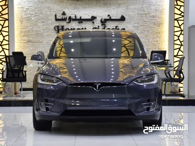Tesla Model X 100D - Long Range ( 2019 Model )