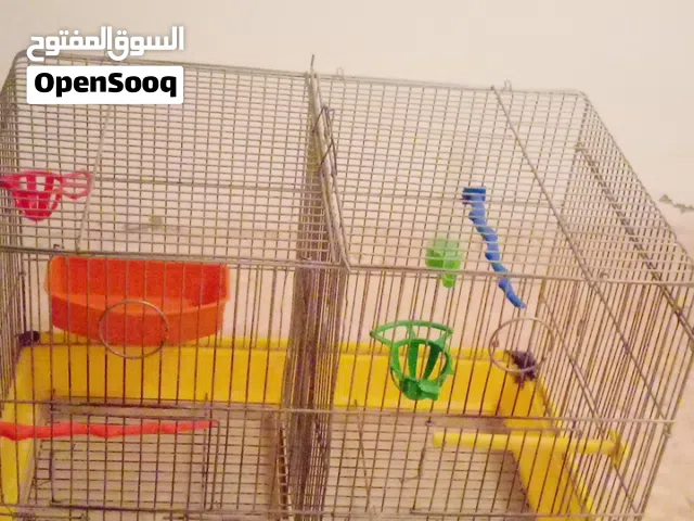 قفاص عدد 4 ومشارب دجاج عدد 3