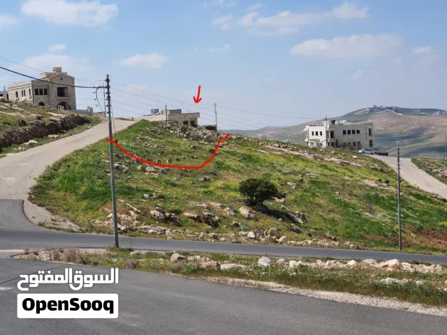 Residential Land for Sale in Amman Shafa Badran