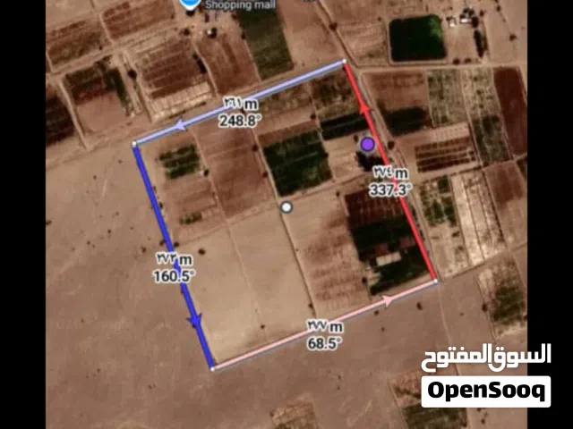 Farm Land for Sale in Al Hudaydah Other