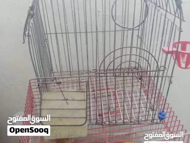 6 اقفاص للبيع