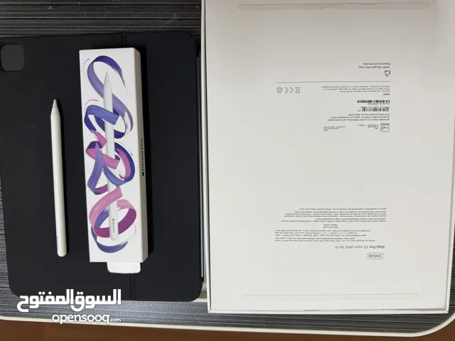 iPad Pro m4 256