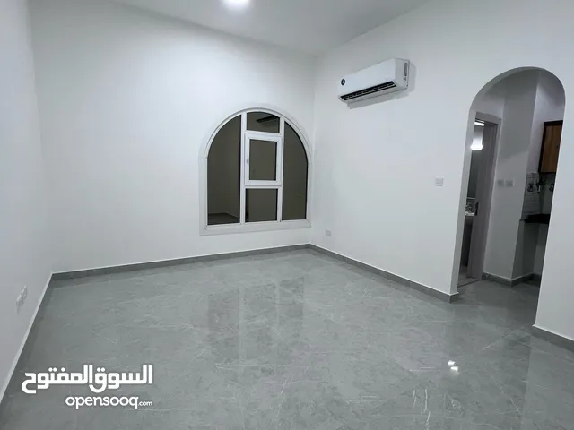 استوديو شخبوط